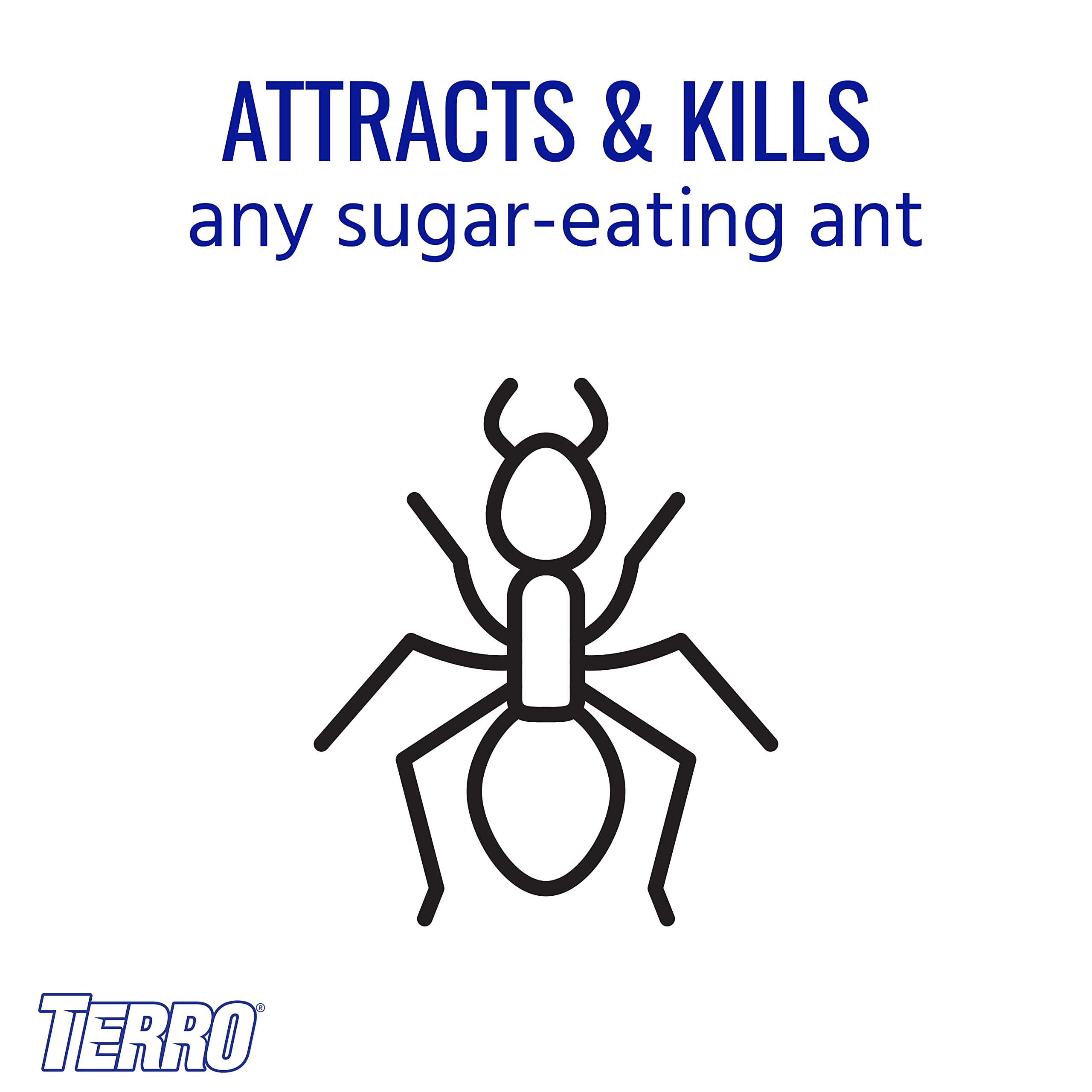 Terro T1804SR fast-acting bait reduces ant visits within days.