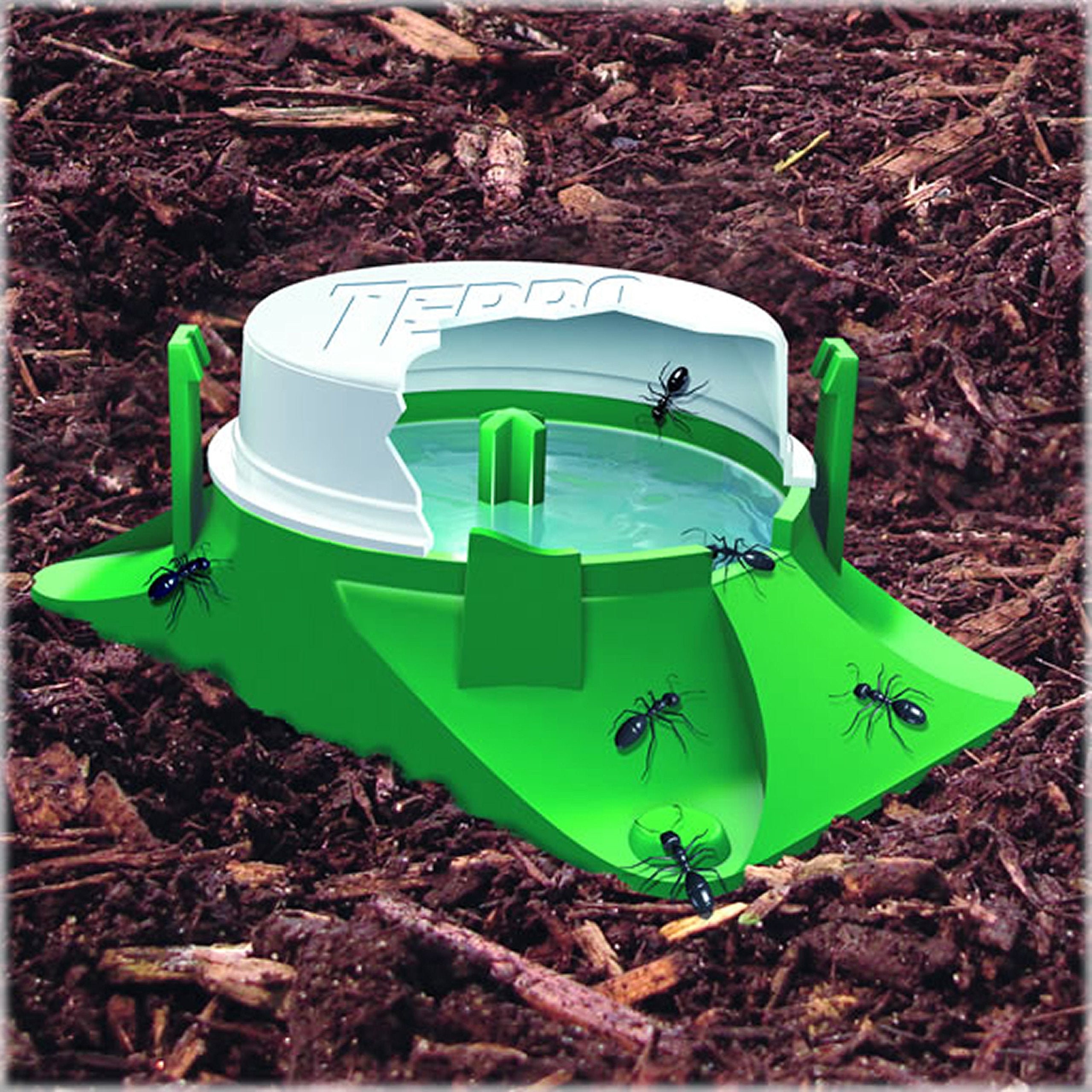 Terro T1804SR attracts ants then shares bait to colony.