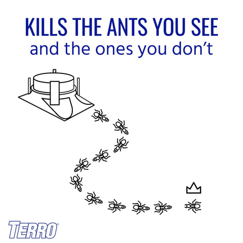 Terro T1804SR stake-secured bait station for outdoor placement.