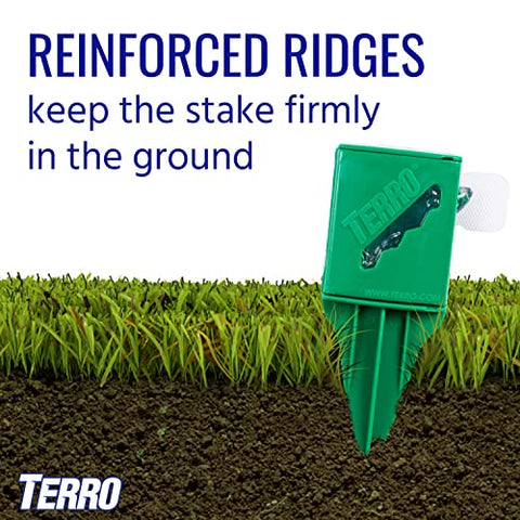 Terro T1812 bait attracts ants outdoors around patios