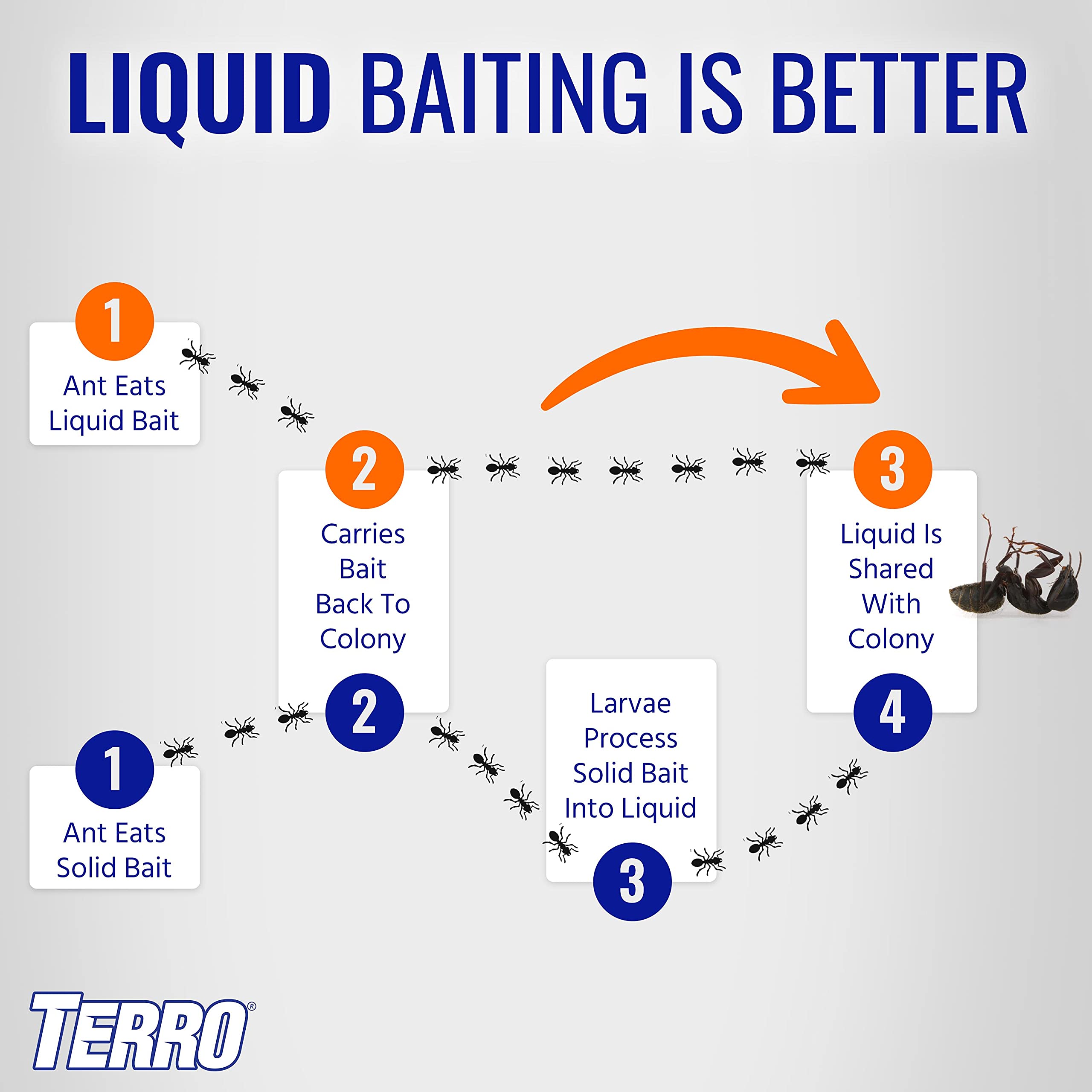 Terro T200-3SR bait on countertop near kitchen activity.