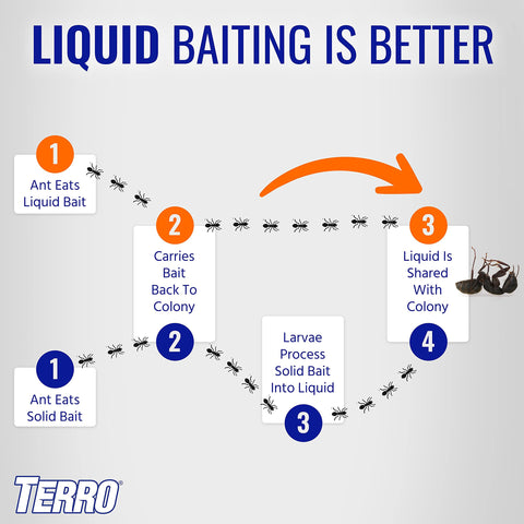 Terro T200-3SR bait on countertop near kitchen activity.