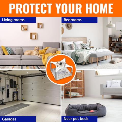 Terro T230 SuperGrabber glue board captures fleas and small insects.