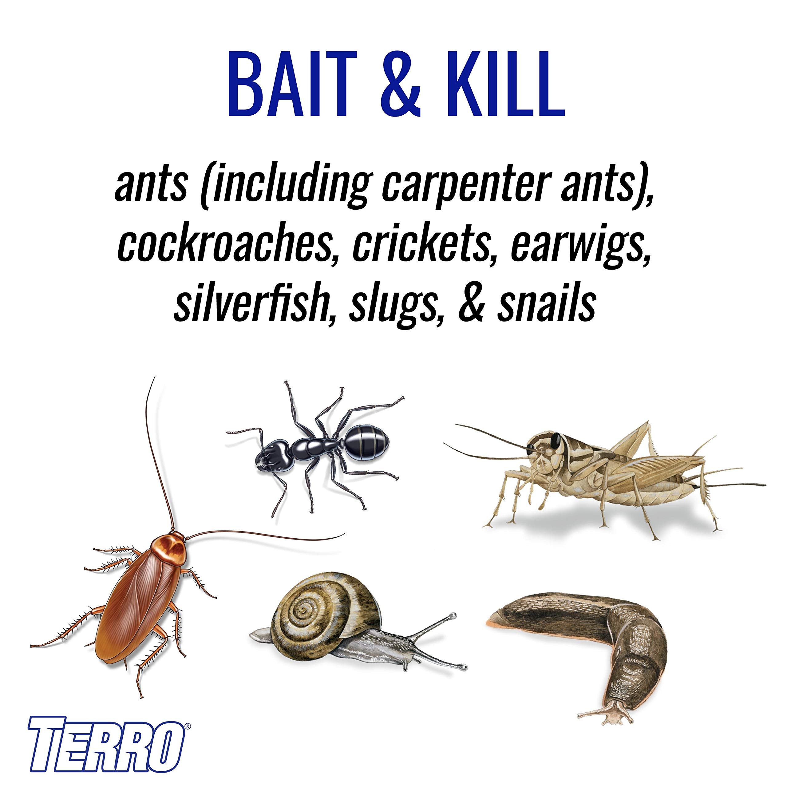 Terro T2600 outdoor bait granules close-up highlighting outdoor protection