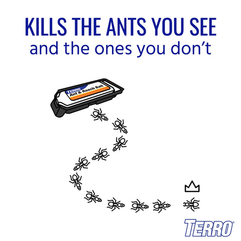 Terro T360SR bait station with three entry points improves access for pests.