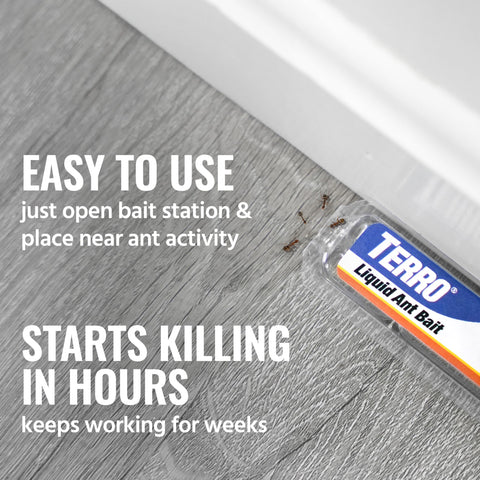 Terro window sill bait highlights unobtrusive placement catching ants along entry points.