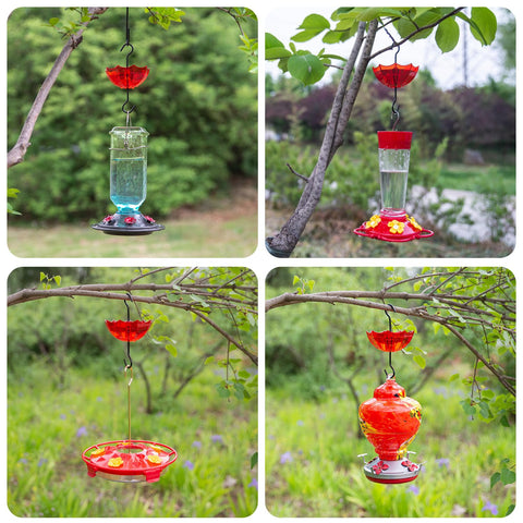 TERULF ant moat easy assembly for quick feeder setup