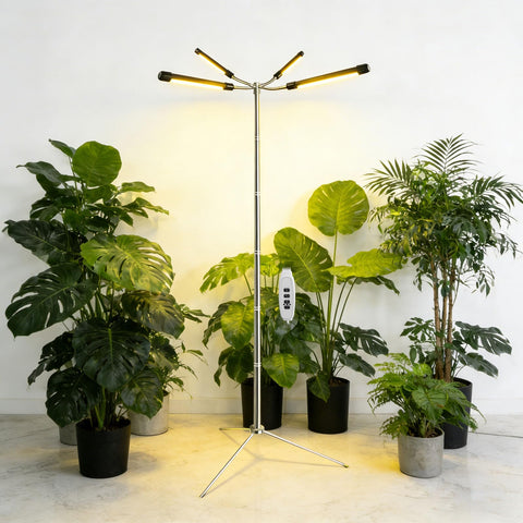 Tesdluy full-spectrum halo base provides even lighting for thriving indoor plants.