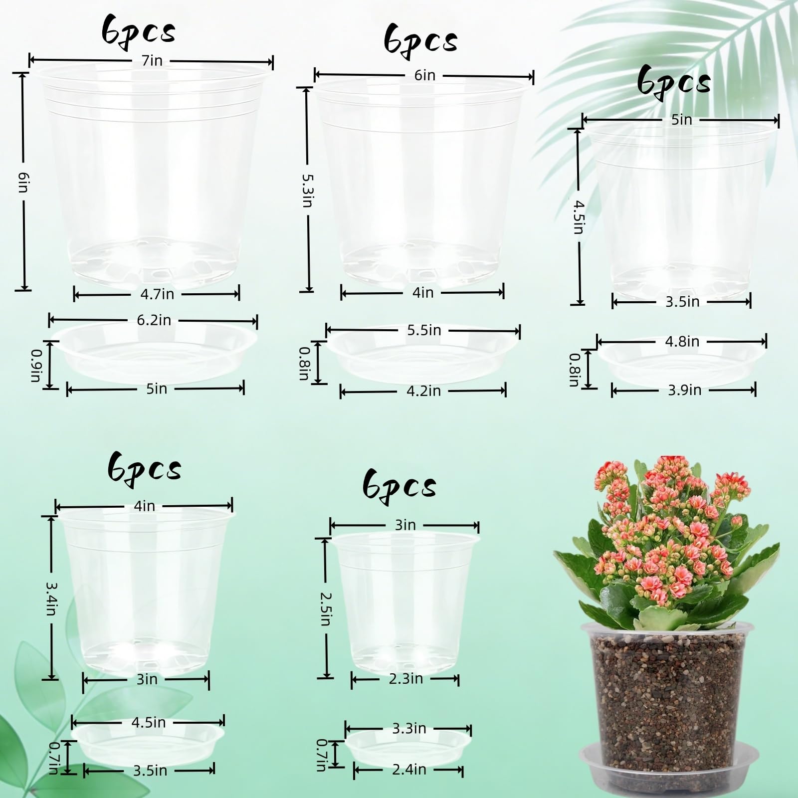TESSTSY clear 5 inch pot enables easy root checks and watering decisions.