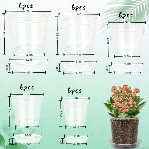 TESSTSY clear 5 inch pot enables easy root checks and watering decisions.