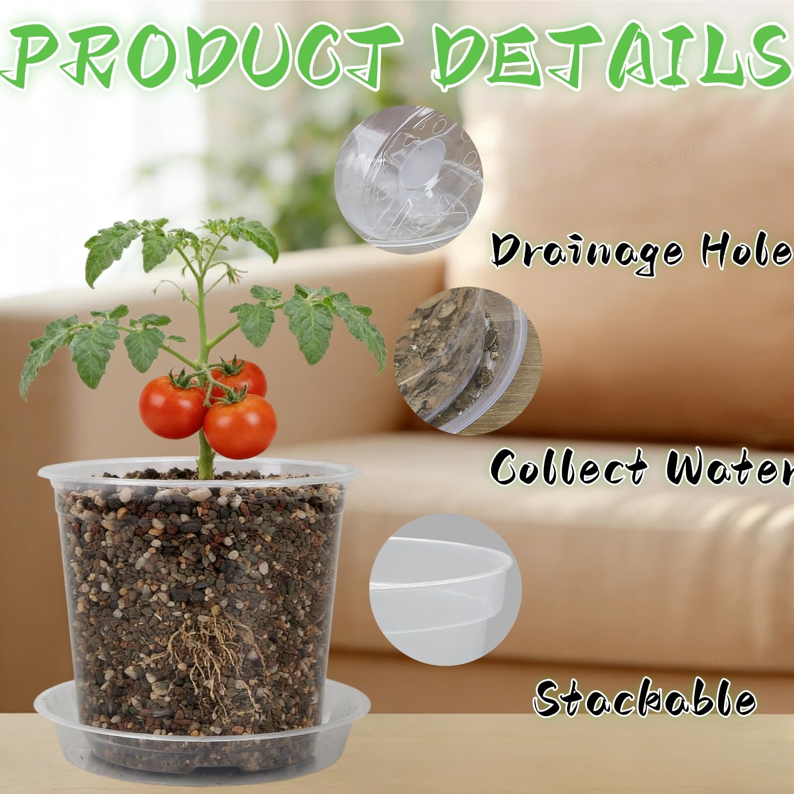 TESSTSY 6 inch pot provides space for small herbs and cuttings.