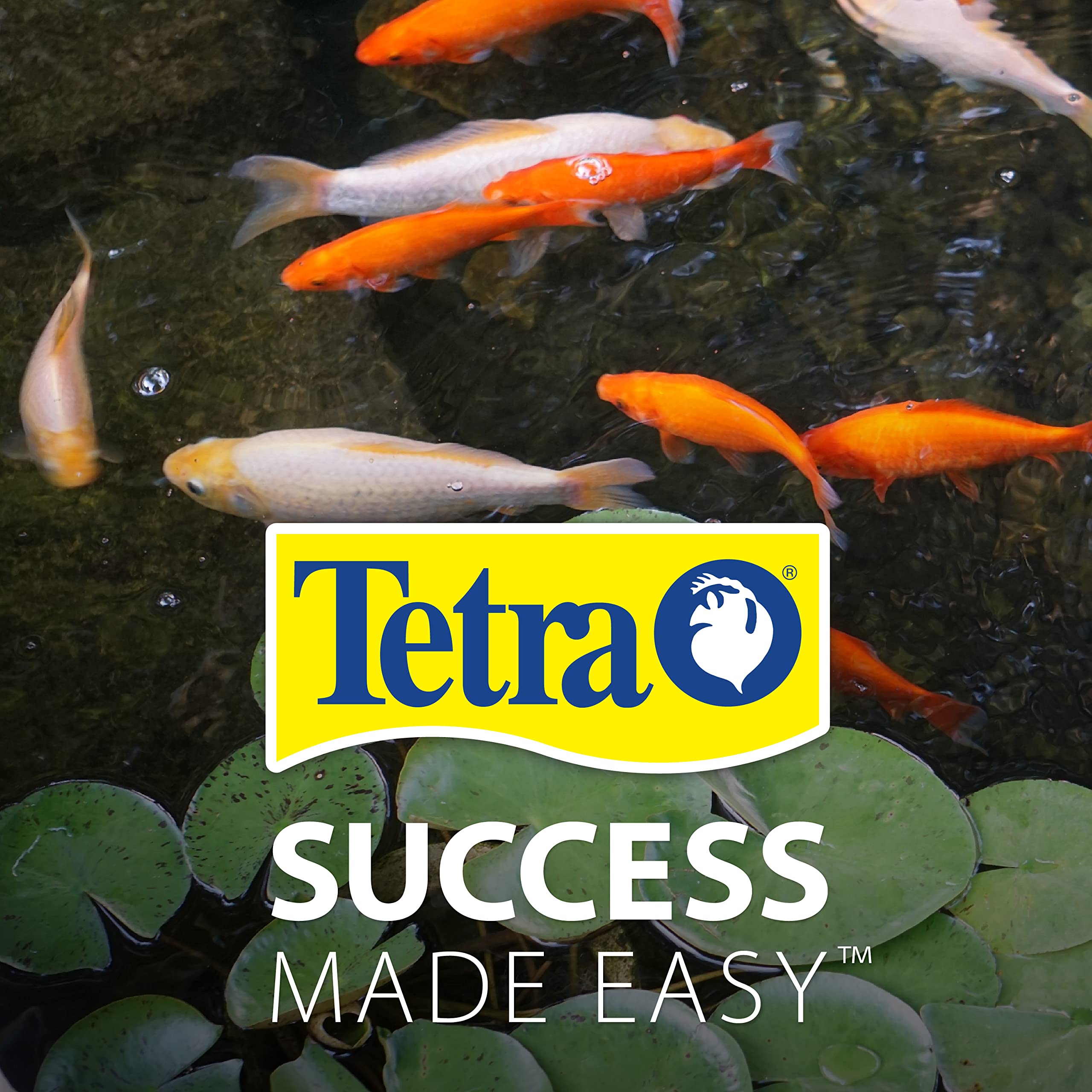Tetra AlgaeControl used in a decorative fountain safely aligning with plants.