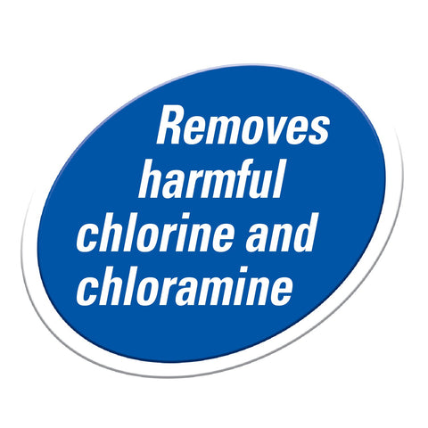 TetraPond AquaSafe chloramines neutralization protects fish membranes when using tap water.