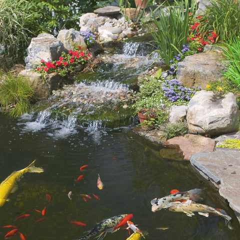 Tetra Pond Water Clarifier supports aeration for faster results.