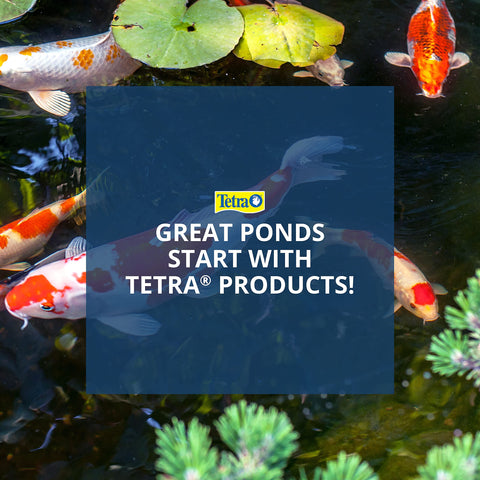 TetraPond replacement bulb designed for annual maintenance and steady algae control.