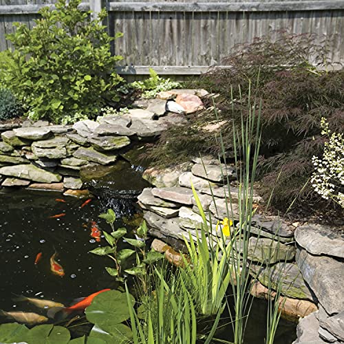 TetraPond flat box filter detach for cleaning enables quick maintenance.