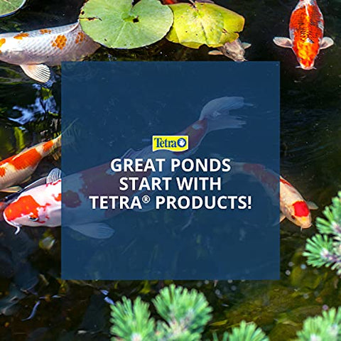TetraPond submersible flat box filter in-use demonstrates easy pond filtration maintenance.