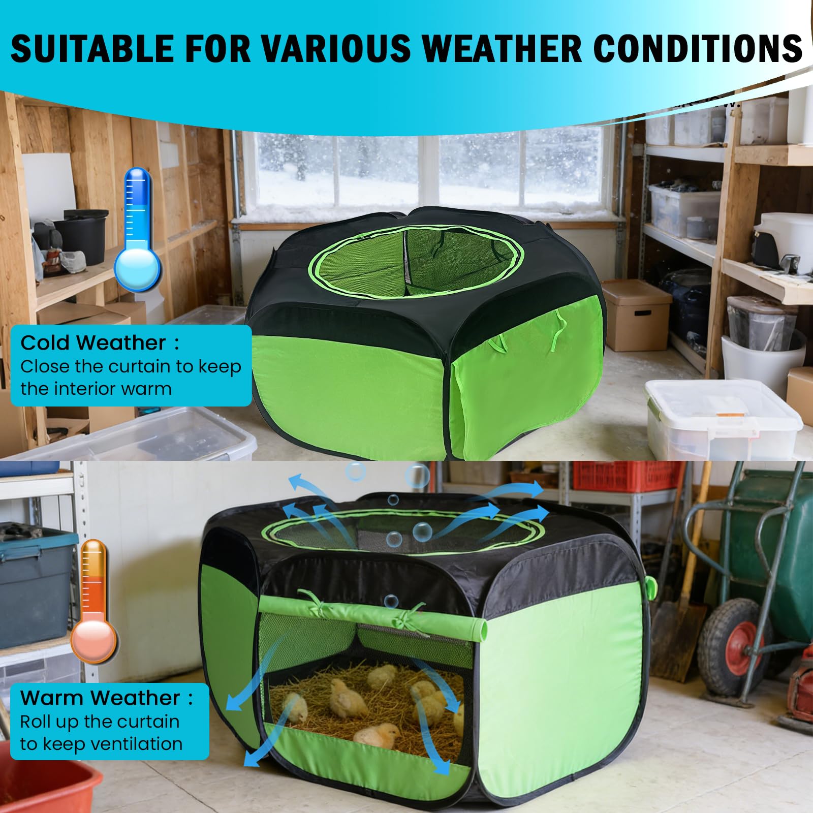 Tetuga indoor-ventilated brooder with breathable mesh panels ensures comfort.