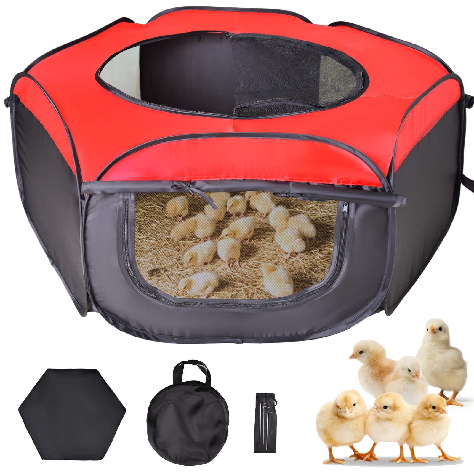 Tetuga Brooder Box inside view showing complete chick starter kit for safe indoor brooding