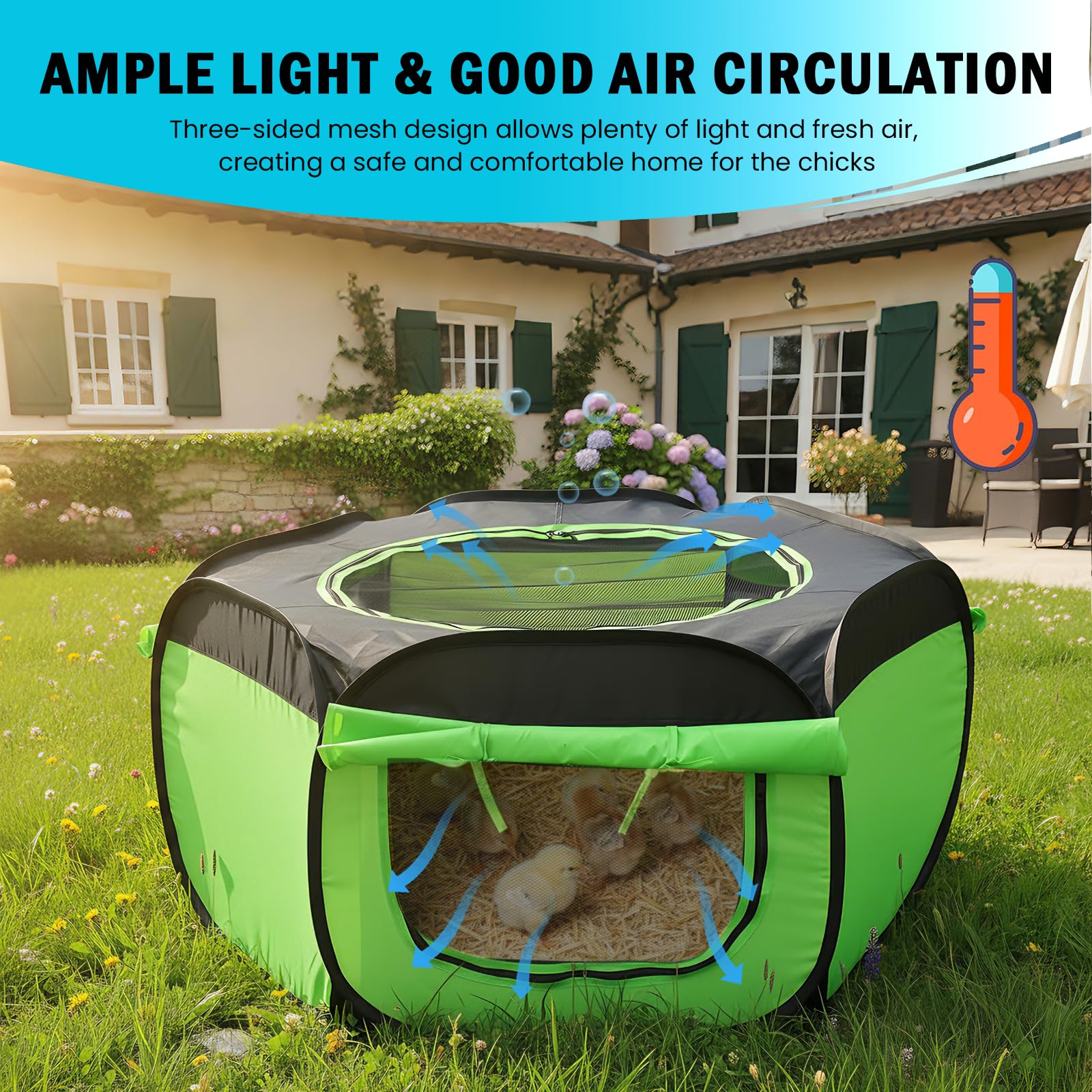 Tetuga outdoor-friendly brooder box offers cold protection for young birds.