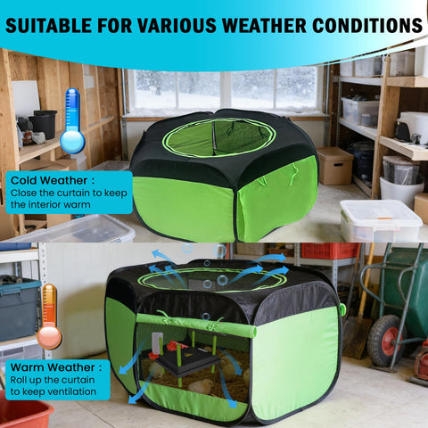 Tetuga chicken feeder shows steady access to fresh feed during rearing