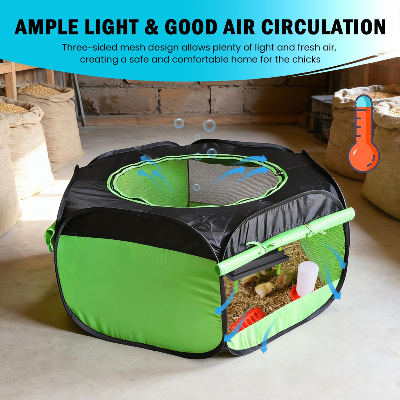 Tetuga heating plate adjustable highlights warm, safe environments for newborn chicks