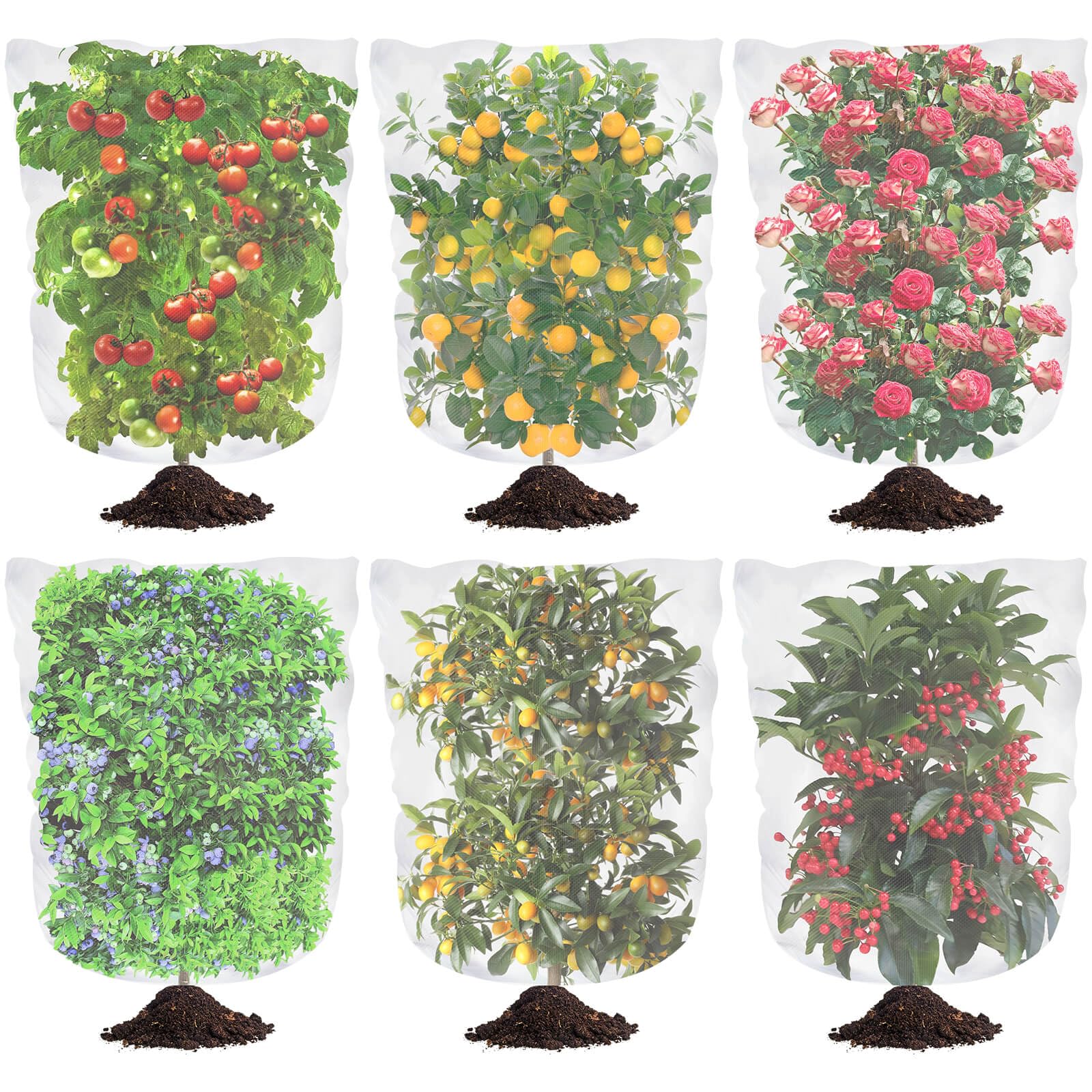 Tetutor blueberry netting cover with drawstring protects ripe berries from birds.