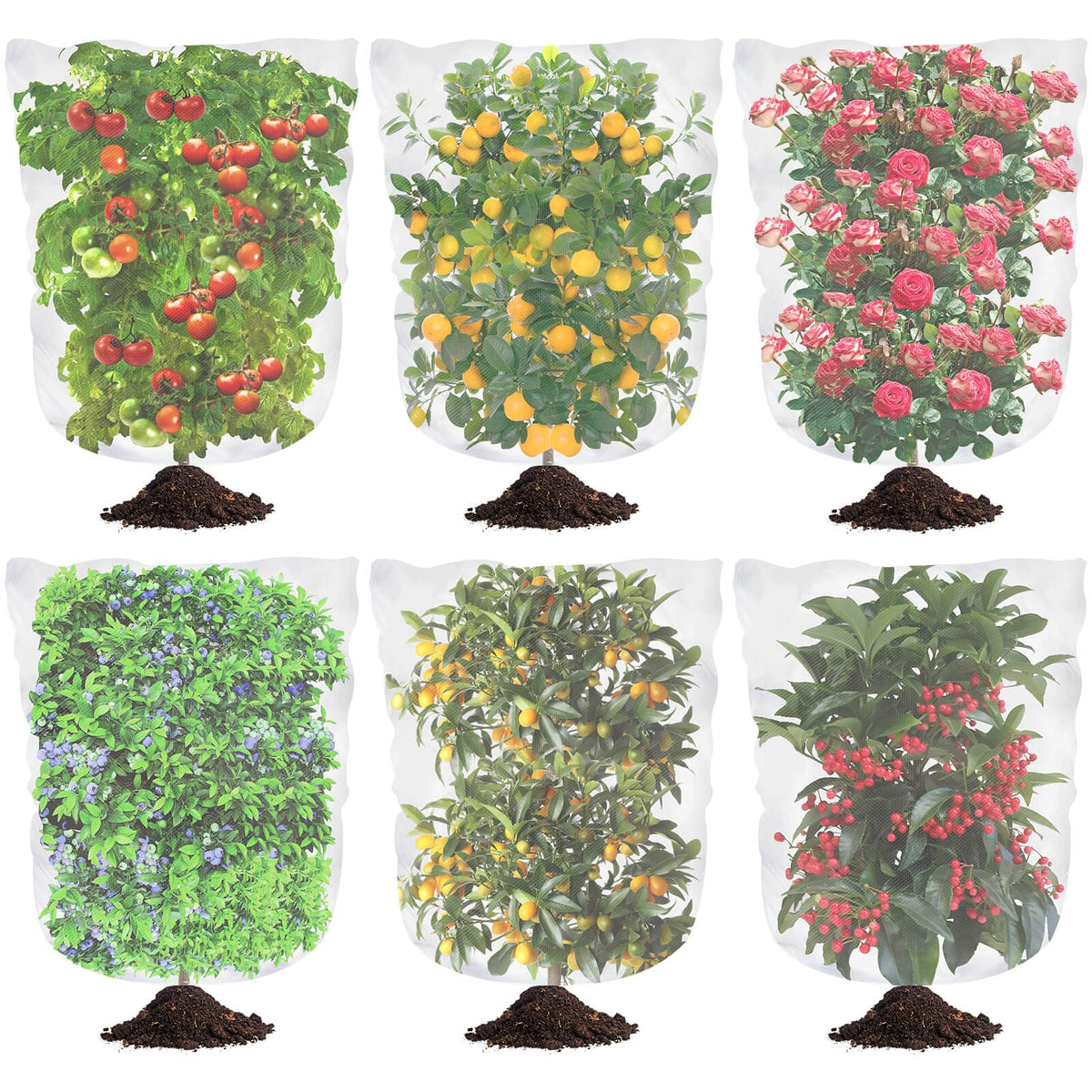 Tetutor blueberry netting cover with drawstring protects ripe berries from birds.