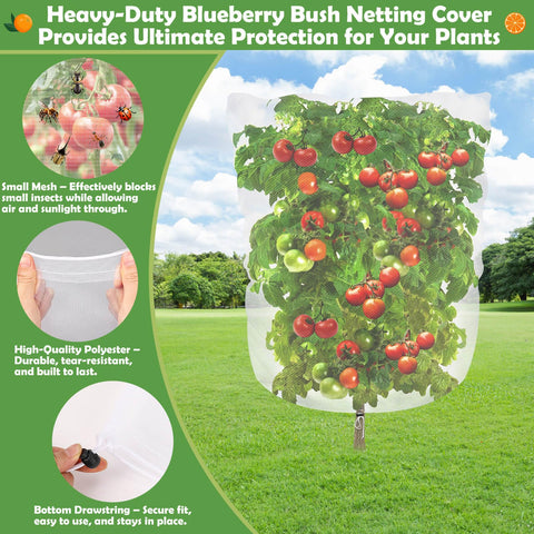 Tetutor netting draped over a blueberry bush protects fruit from birds and pests.