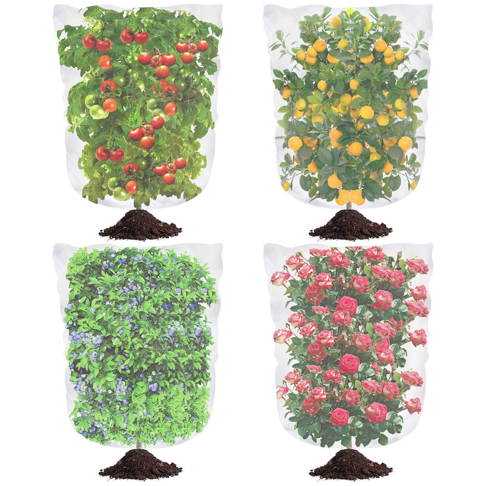 Tetutor blueberry netting cover package with four nets ready for garden protection.