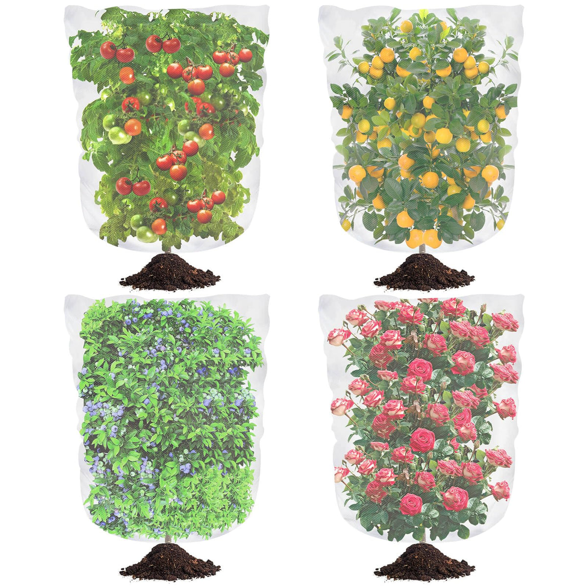 Tetutor blueberry netting cover package with four nets ready for garden protection.