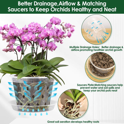 Tetutor drainage saucers included prevent spills and mess.