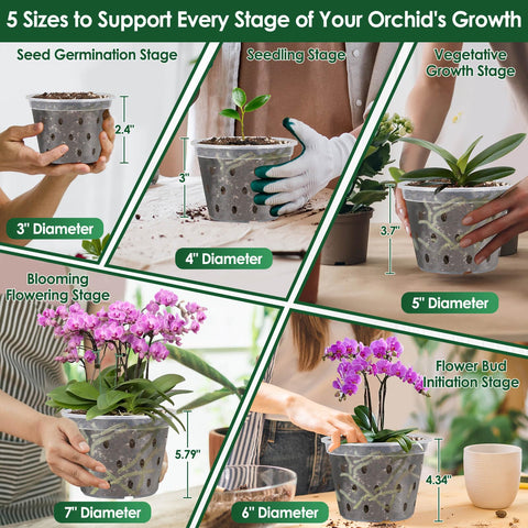 Tetutor durable clear PP plastic keeps roots visible and reusable.