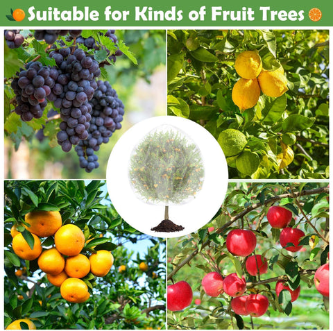 Tetutor fruit protection netting shelters flowers and berries during growing season.