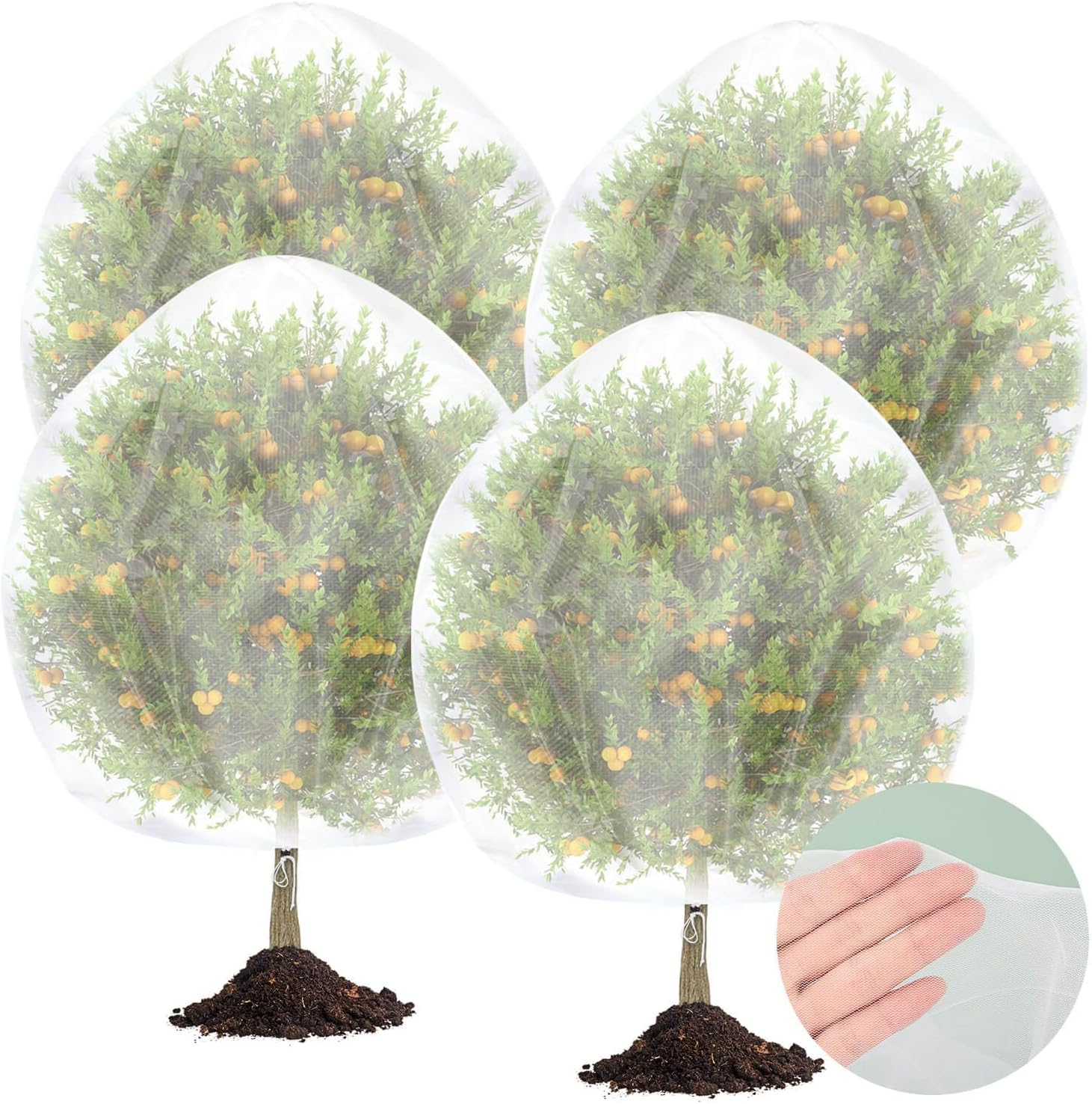 Tetutor four-pack fruit tree netting shields fruit trees from birds and pests.