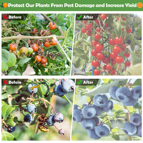 Ideal for indoor and outdoor gardens guarding blueberries, tomatoes, and other crops.