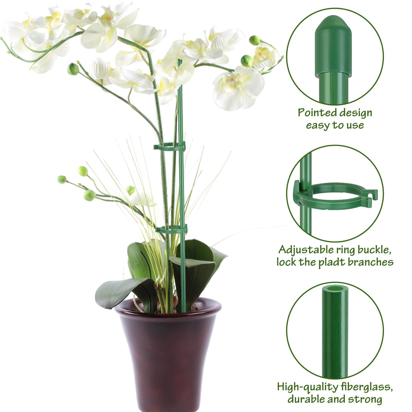 Kit arranged for indoor-outdoor plants showing versatile stake system.