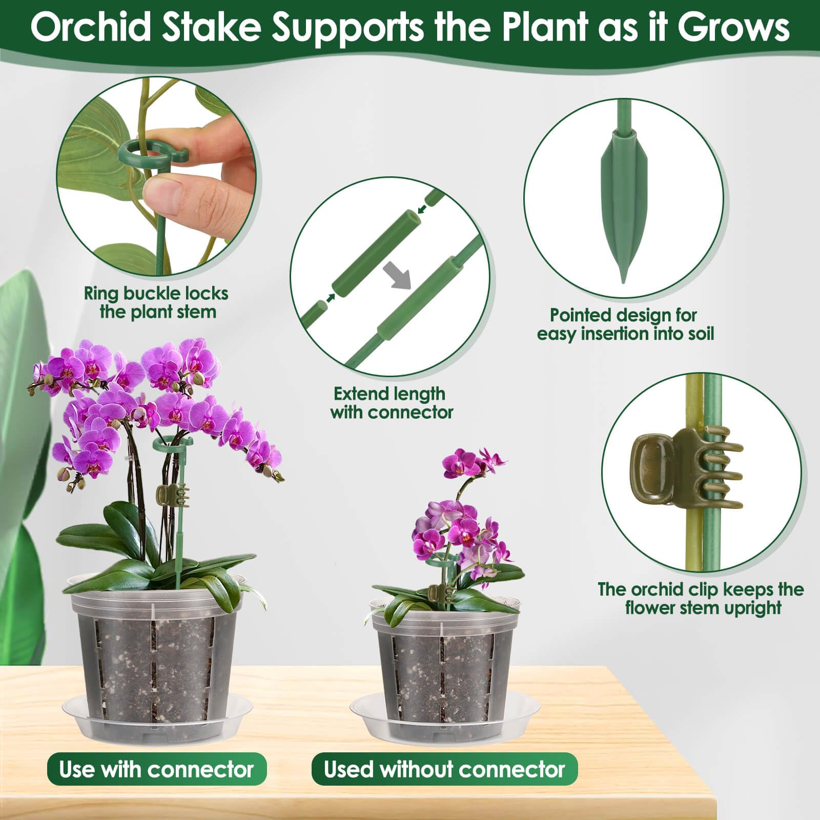 Tetutor orchid pot 360-degree ventilation for healthy roots.