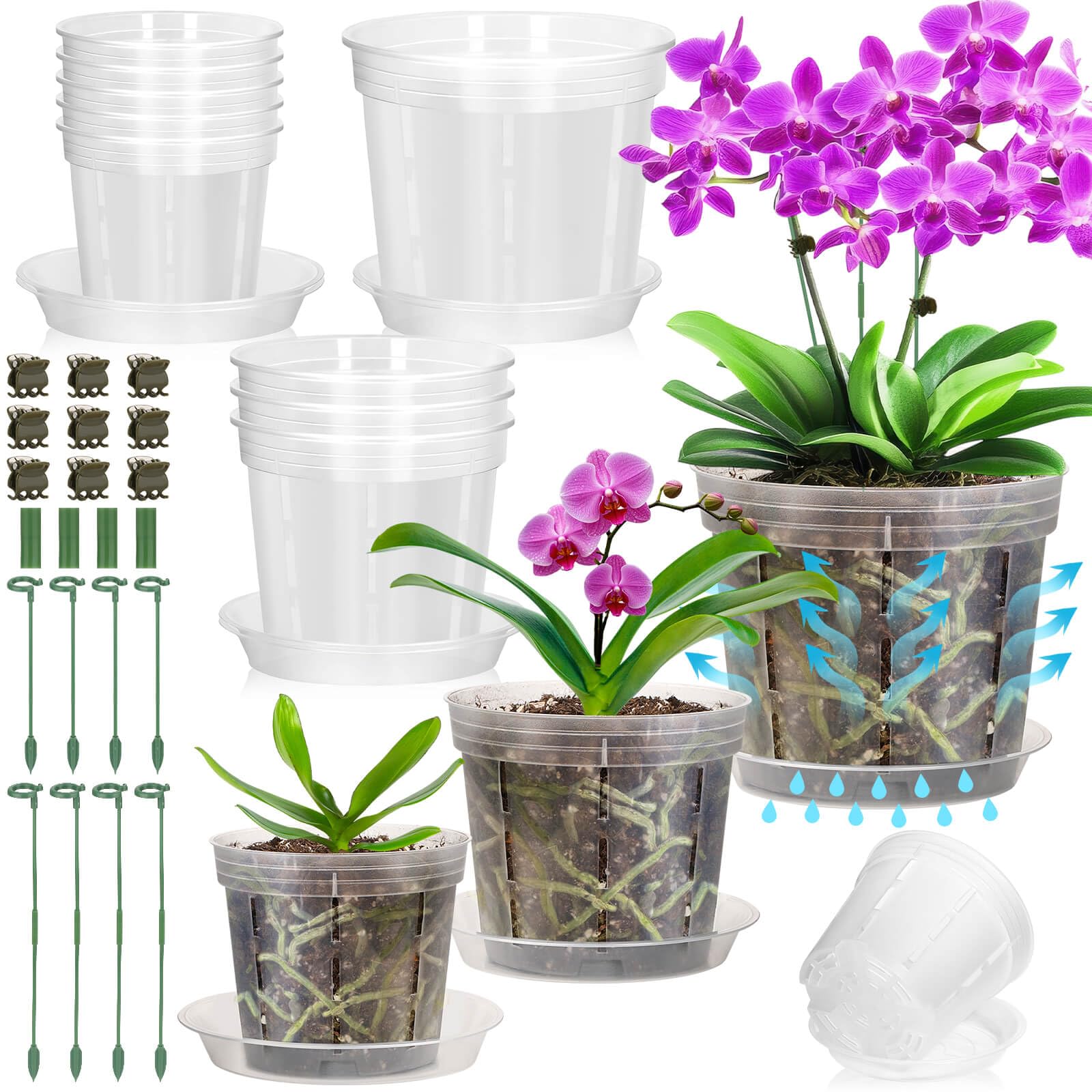 Tetutor orchid pot 4-inch clear with holes for fast drainage and monitoring.