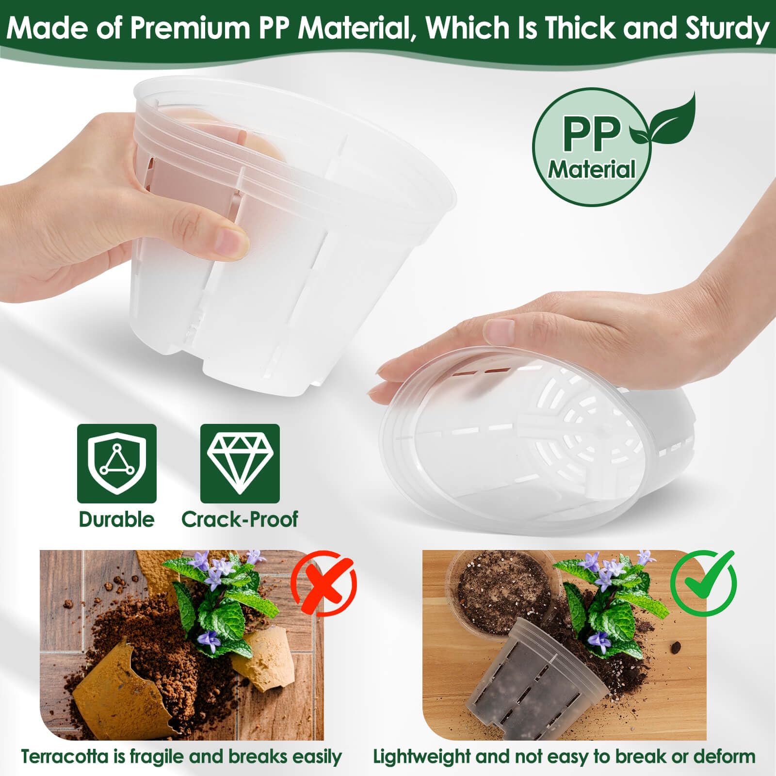 Tetutor orchid pot 5-inch clear with holes ideal for mid-growth repotting.