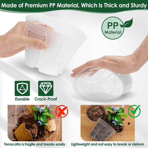 Tetutor orchid pot 5-inch clear with holes ideal for mid-growth repotting.