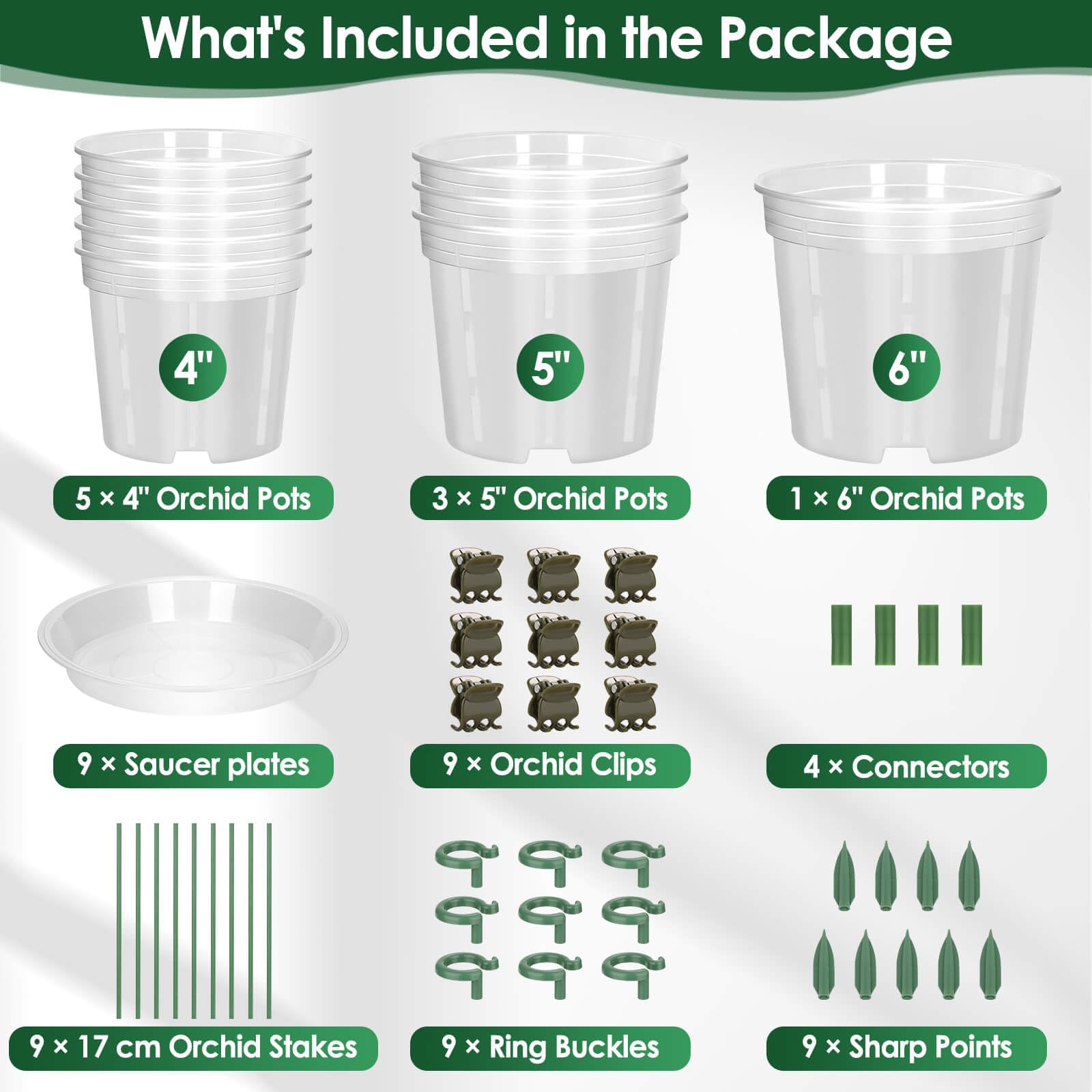 Tetutor orchid pot 6-inch clear with holes for mature plants and airflow.