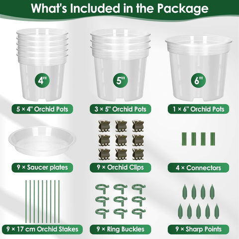 Tetutor orchid pot 6-inch clear with holes for mature plants and airflow.