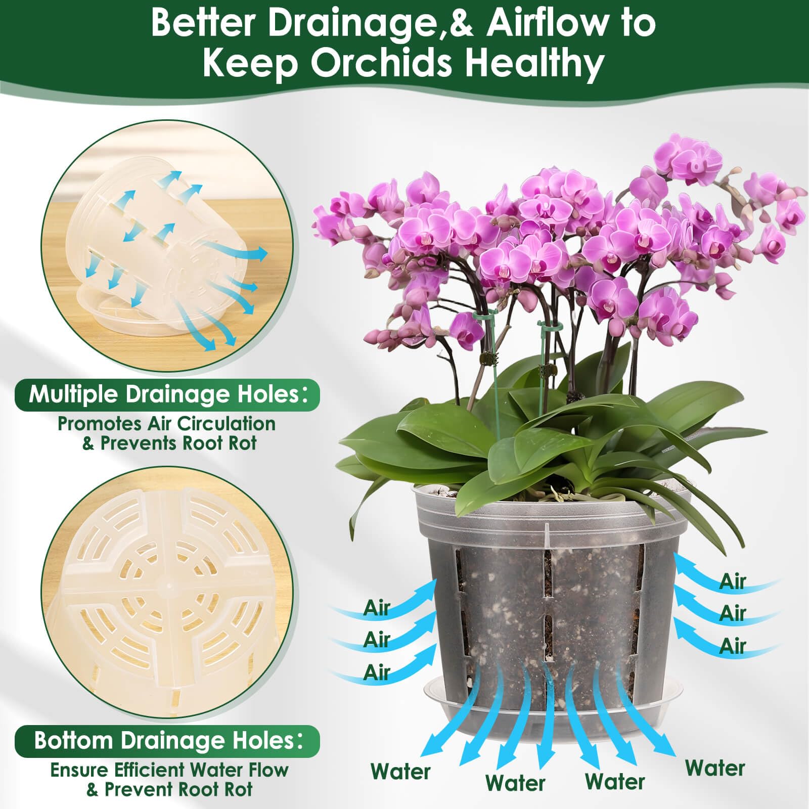 Tetutor orchid pot drainage saucer included for mess-free watering.