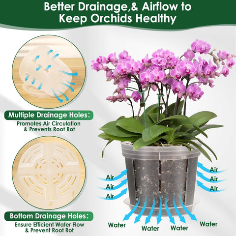 Tetutor orchid pot drainage saucer included for mess-free watering.
