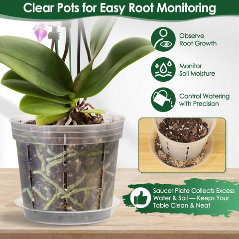 Tetutor orchid pot shown inside decorative planter for easy display.