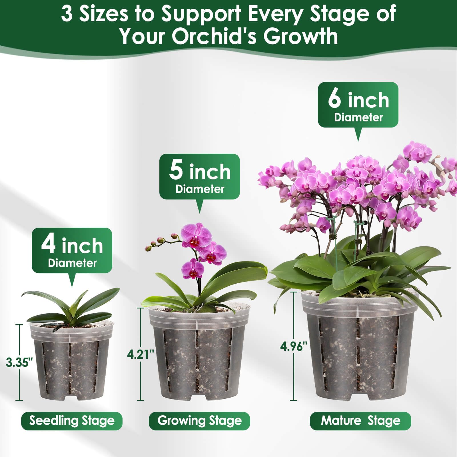Tetutor orchid pot stake system providing sturdy plant support.