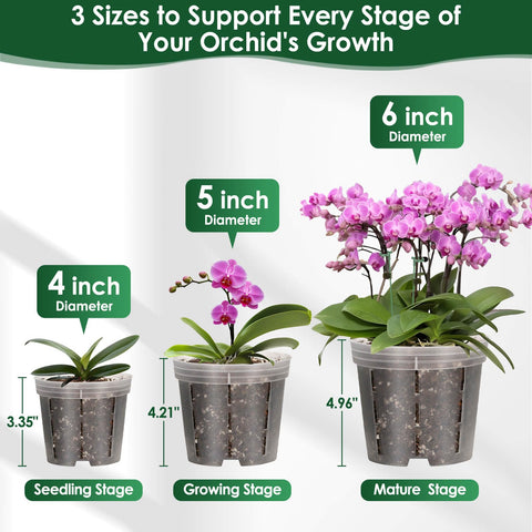 Tetutor orchid pot stake system providing sturdy plant support.