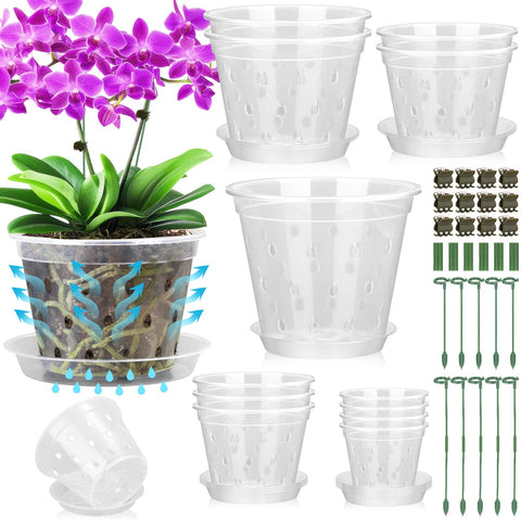Tetutor orchid pots with clear holes show roots clearly for easy watering.