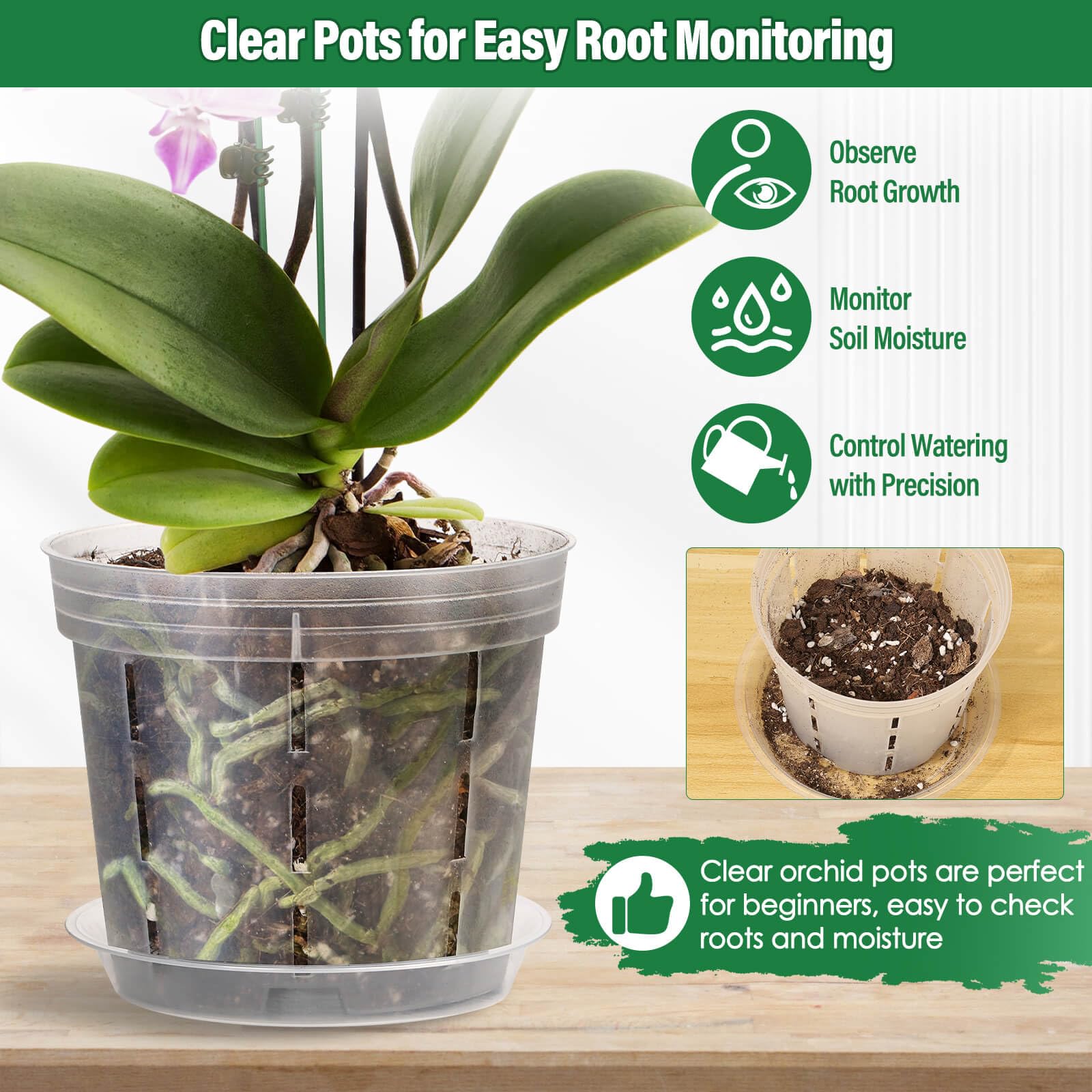 Boxed Tetutor 12-pack clear orchid pots ready for use